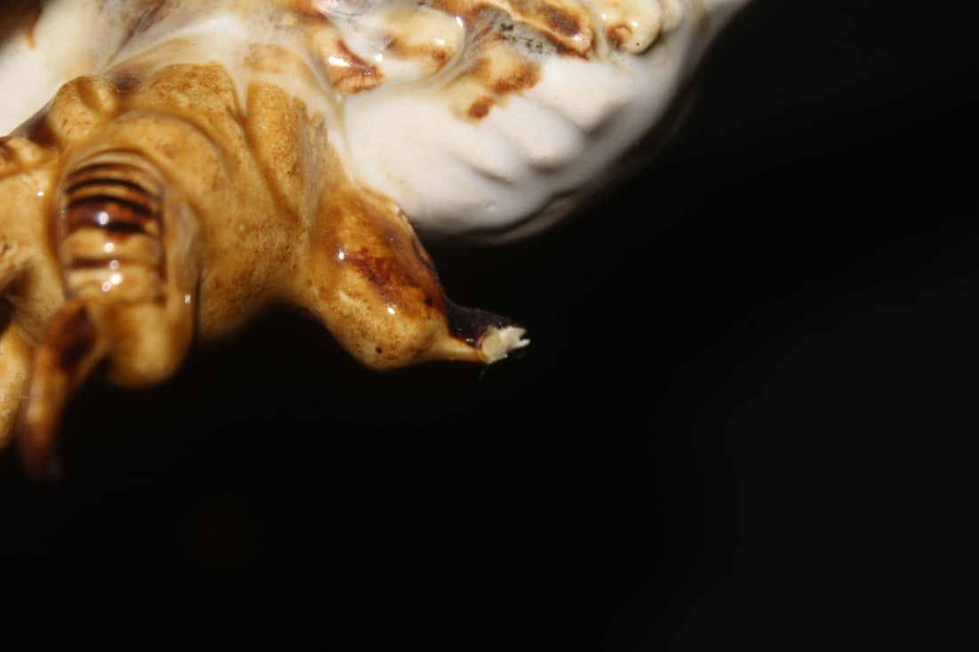 Ceramic Eagle Wall Hanger - 5