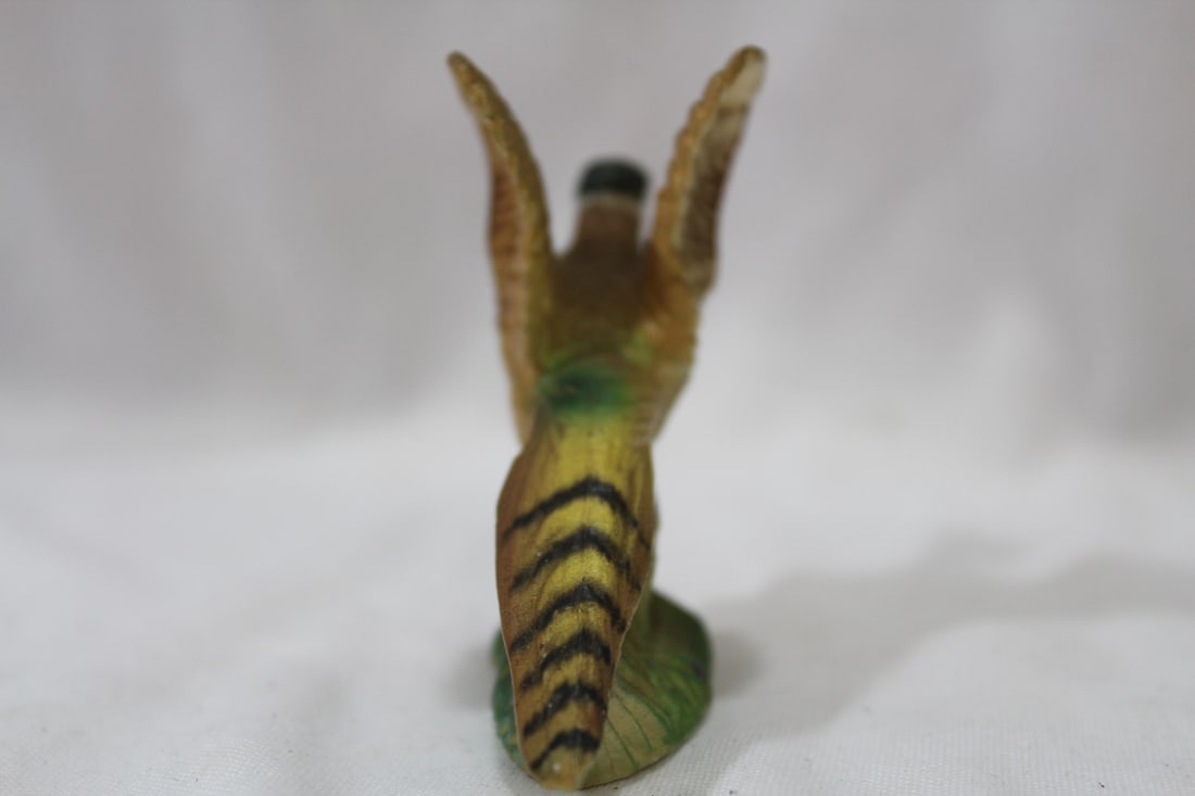 An Old Plastic Turkey - 3