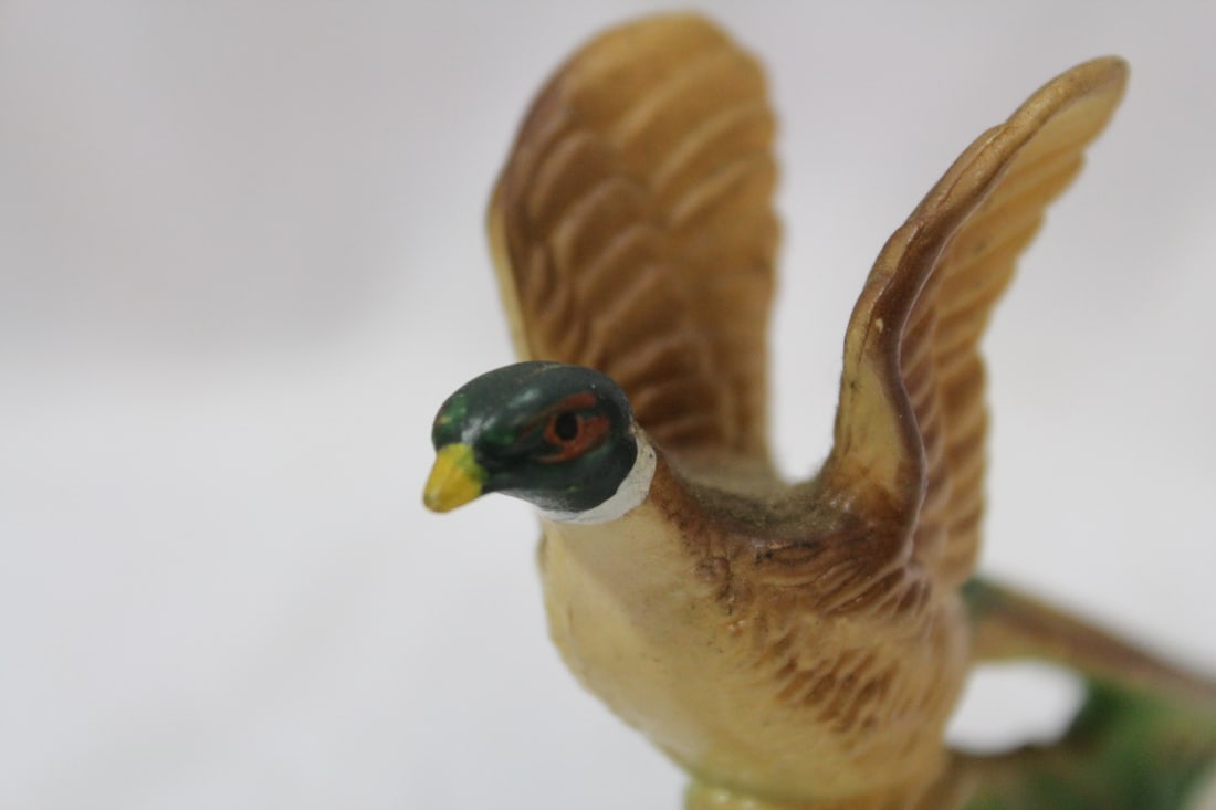 An Old Plastic Turkey - 5