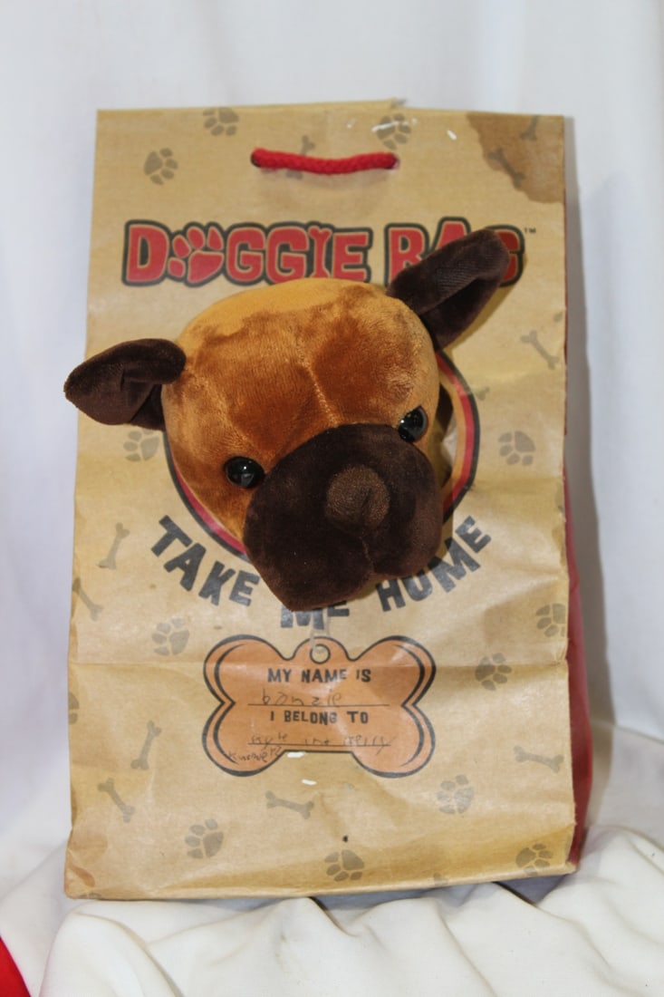 Doggie Bag Boxer: 10" tall
