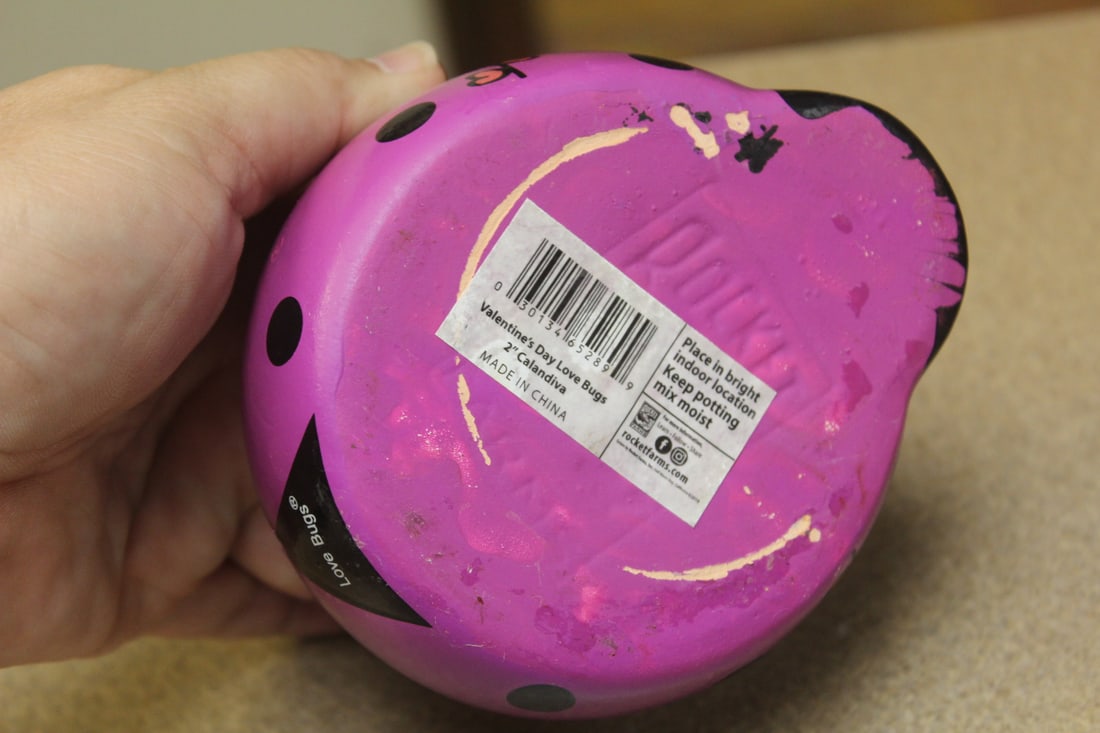 Ladybug Ceramic Planter - 4