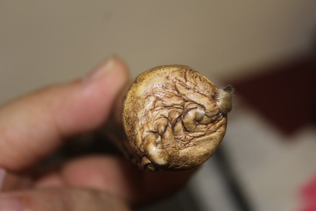 A Native American Stone Axe - 3