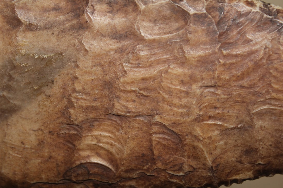 A Native American Stone Axe - 6