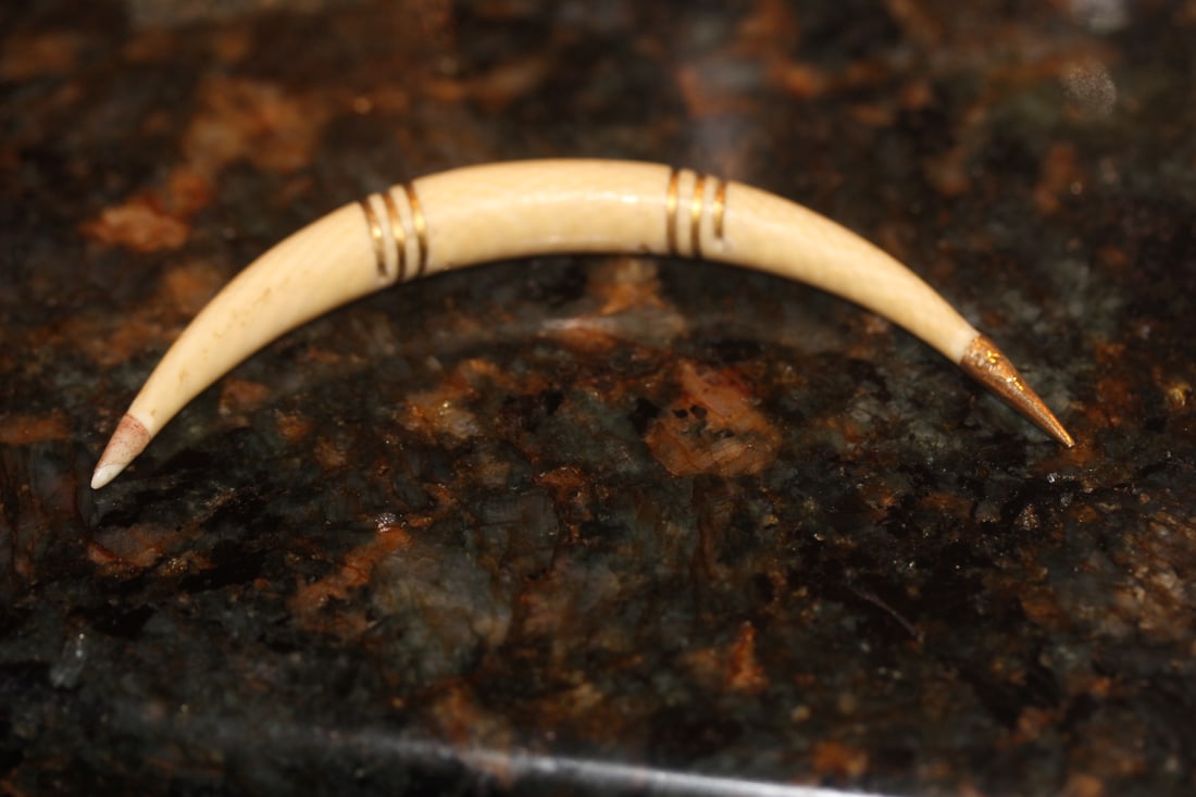 Some Sort of a Carved Tooth: please check out images for dimension