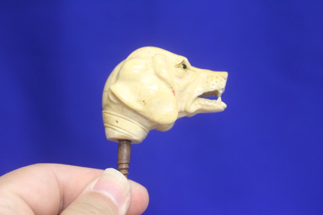 A Well Carved Dog Head Cane Top: 19th century - please note: missing one eye - 2 1/8" wide