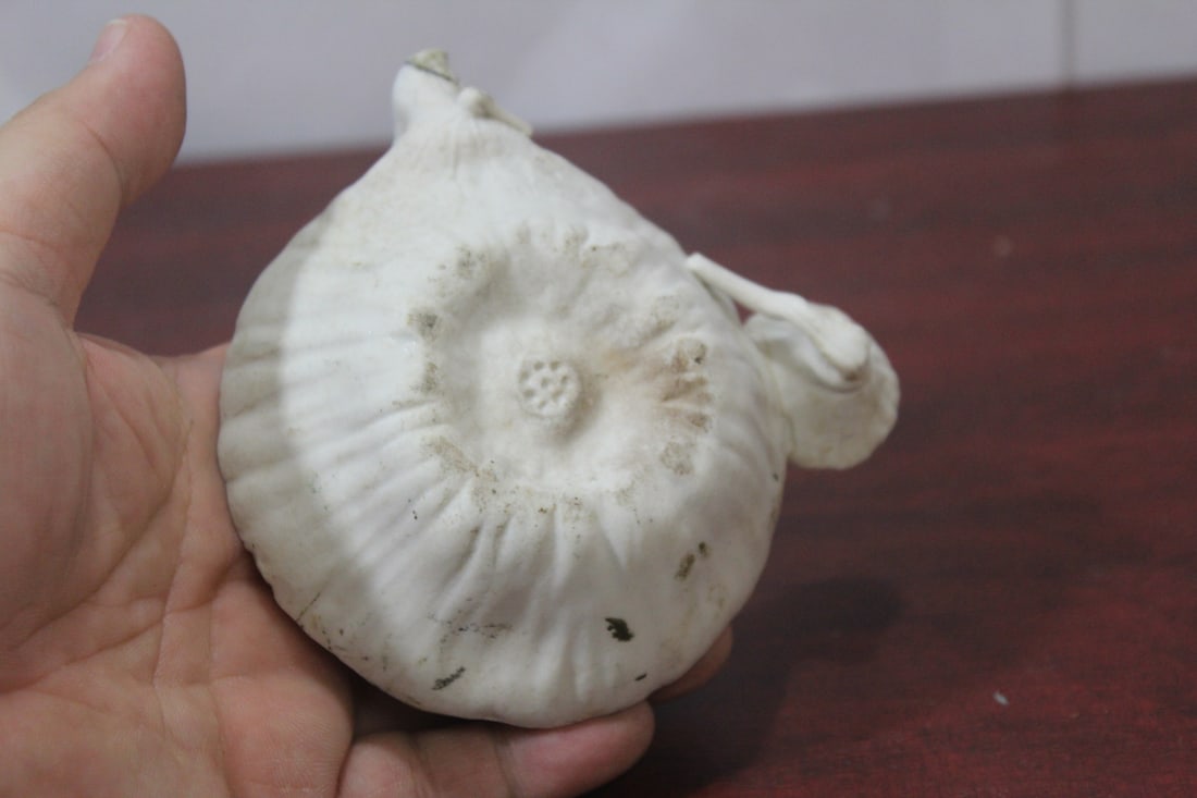 A Ceramic Teapot - 5