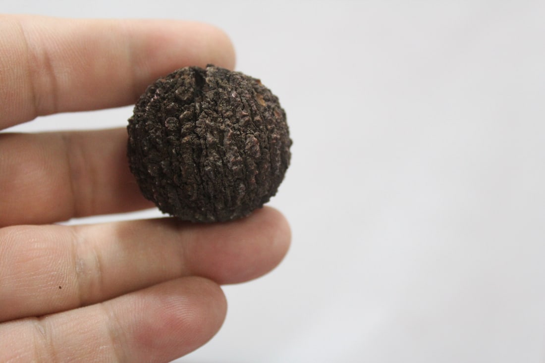 A Ceramic Nut: small size