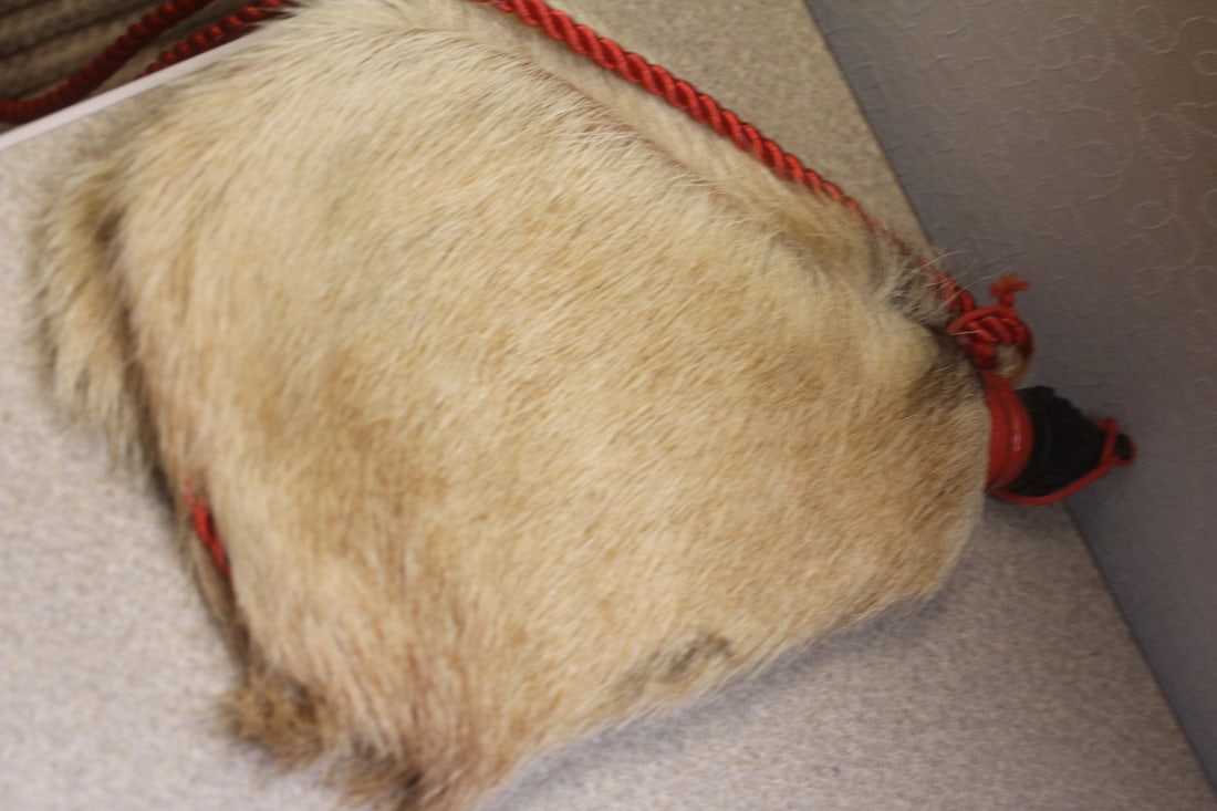 Water Bottle: appeared to be real hair - 12" across