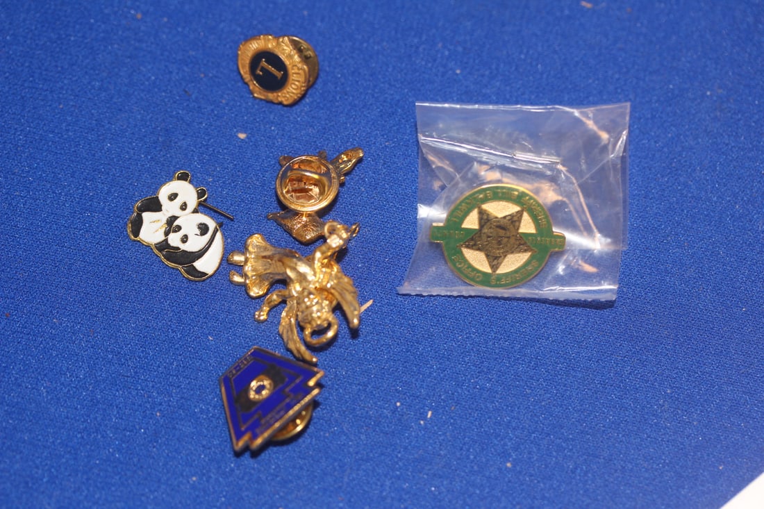 Lot of Pins and Tie Tags: as shown