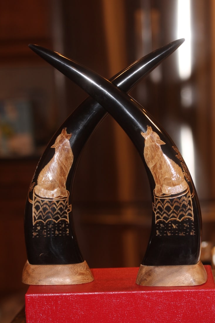 Pair of Well Carved Buffalo Horns: approximately 12 inches tall