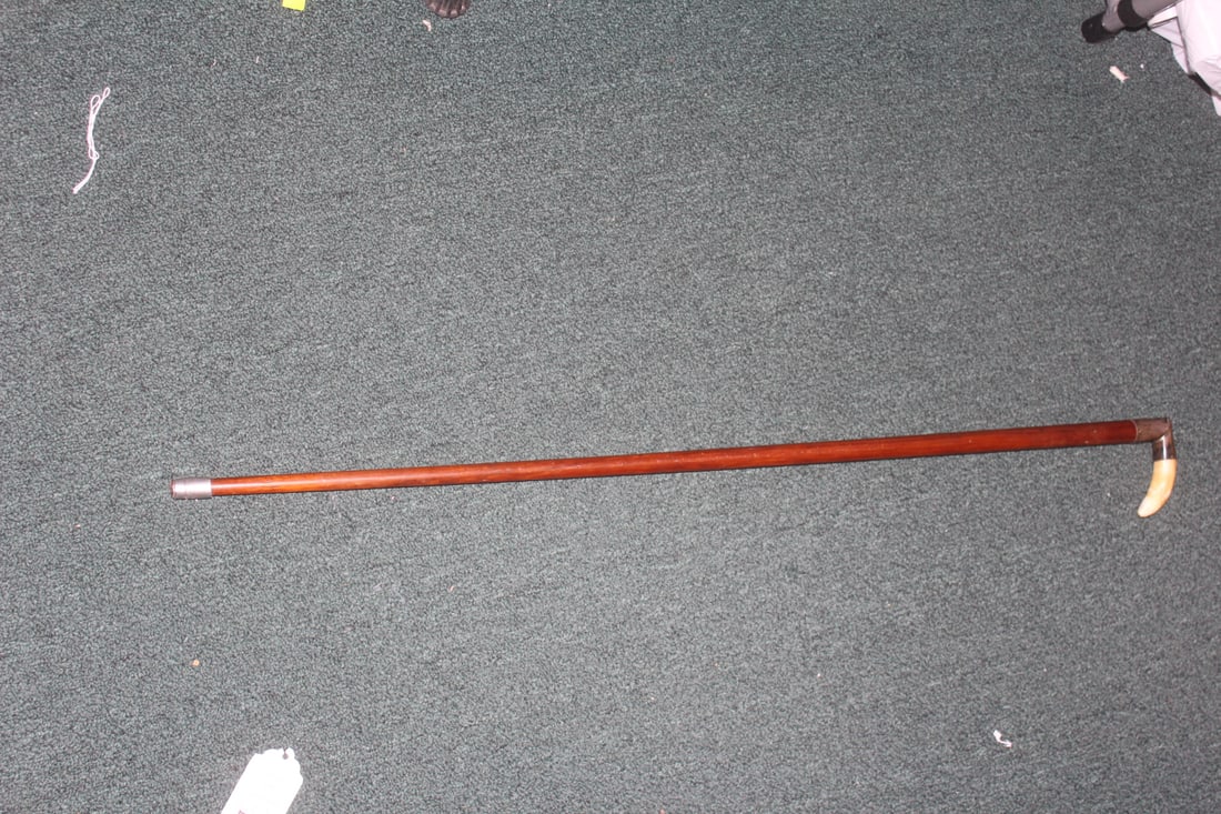 Antique Boar Tooth Cane Handle: please note: monogrammed - dated: 1915 - holder appeared to be silver - needs to be fastened as it's a little loose - 35 inches long