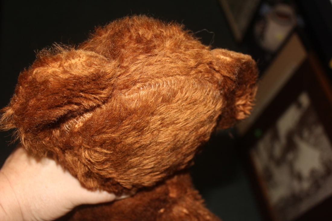 Antique/Vintage Joint Teddy Bear - 5