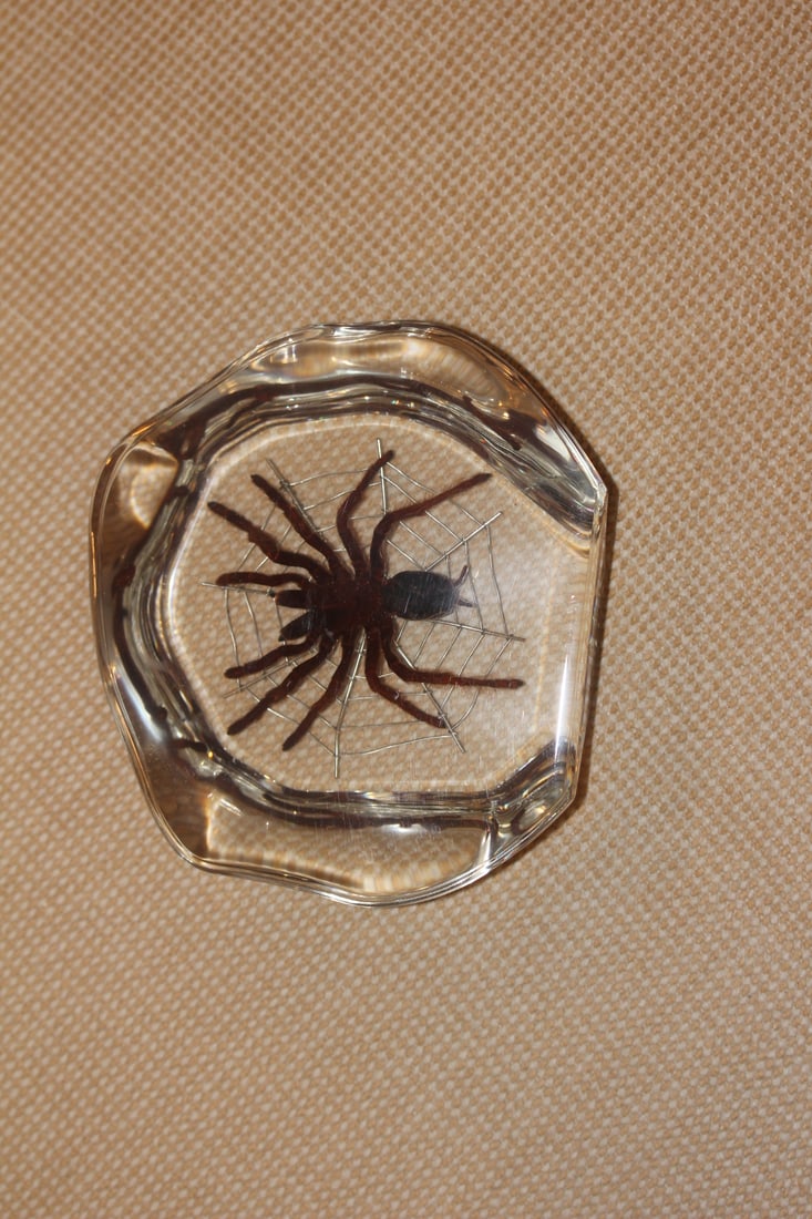 Lucite Spider Brock: 4 3/4" in diameter