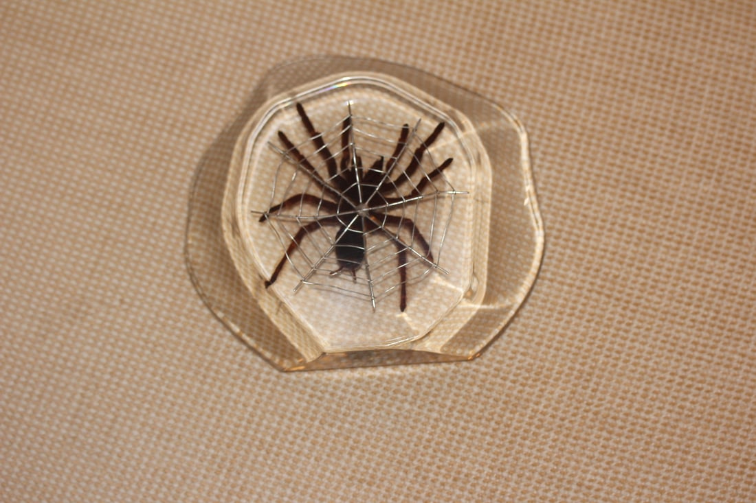 Lucite Spider Brock - 2