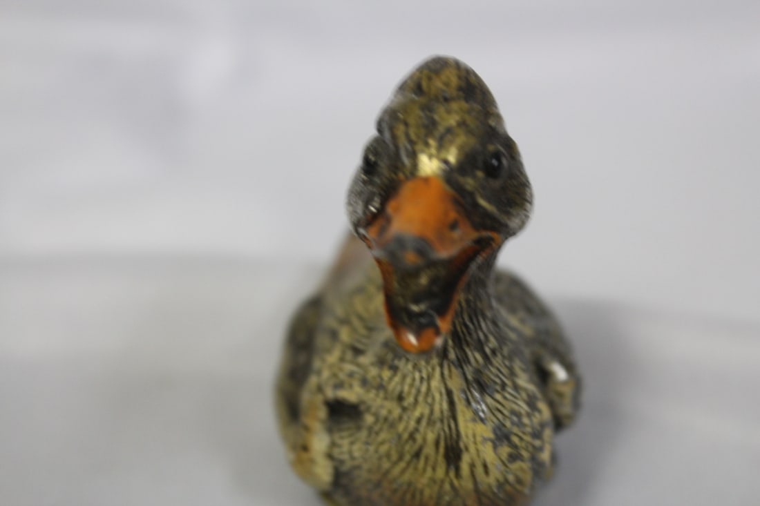 A Polychrome Lead Duck - 6