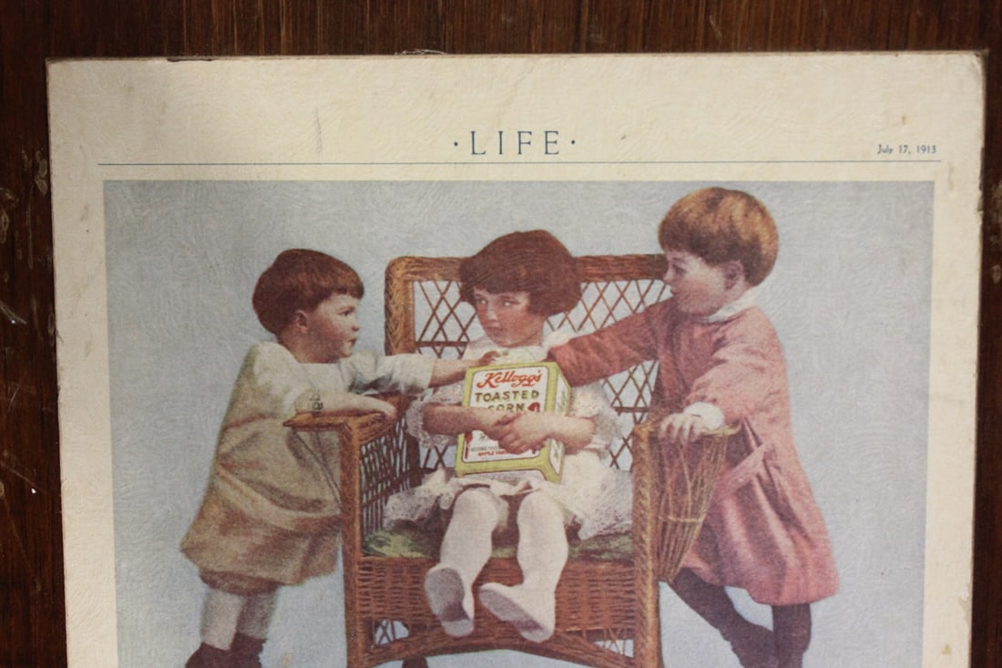 W.K. Kellog Old Advertisement - 5