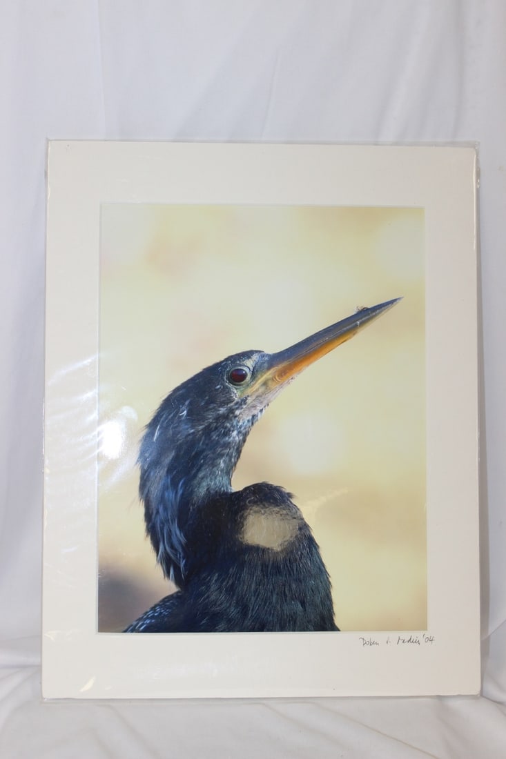 A Signed Bird Photograph: 14" x 11" - unframed