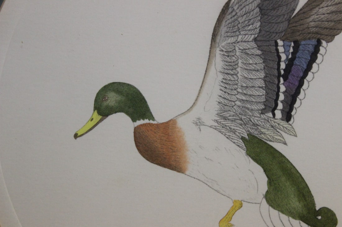 A Pencil Signed Etching/Lithograph/Watercolour - 2