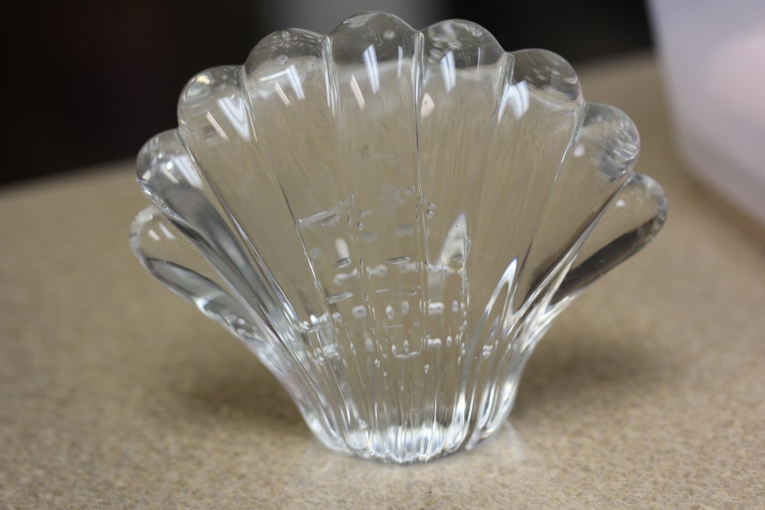 Control Bubble Shell Form Paperweight: 3 3/4" across