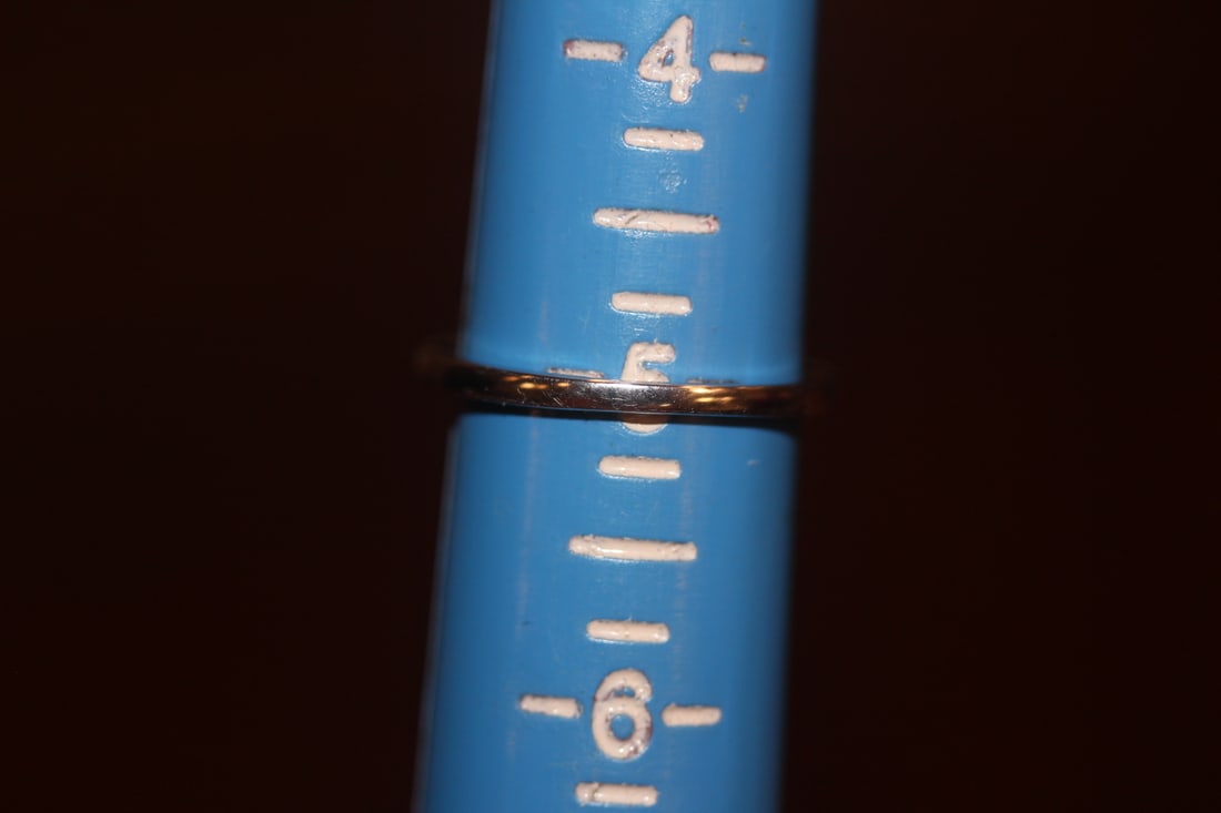 Sterling and Stone Ring - 5