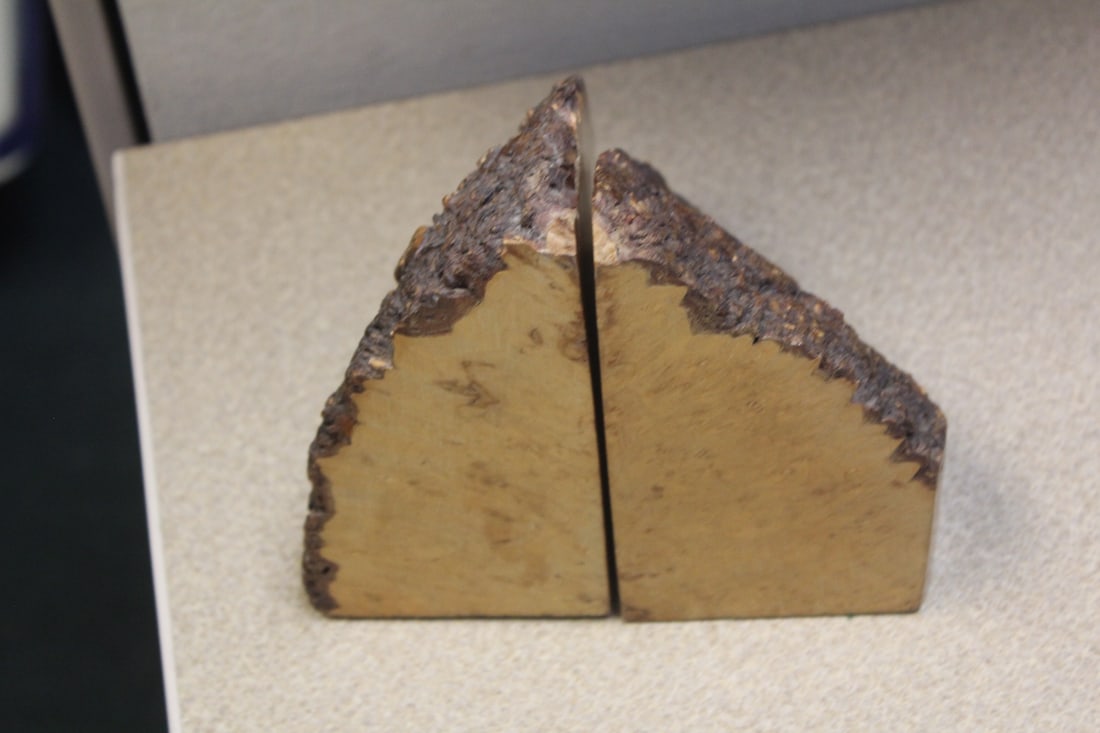 Pair of Exotic Wood Bookends: 5 5/8" tall each