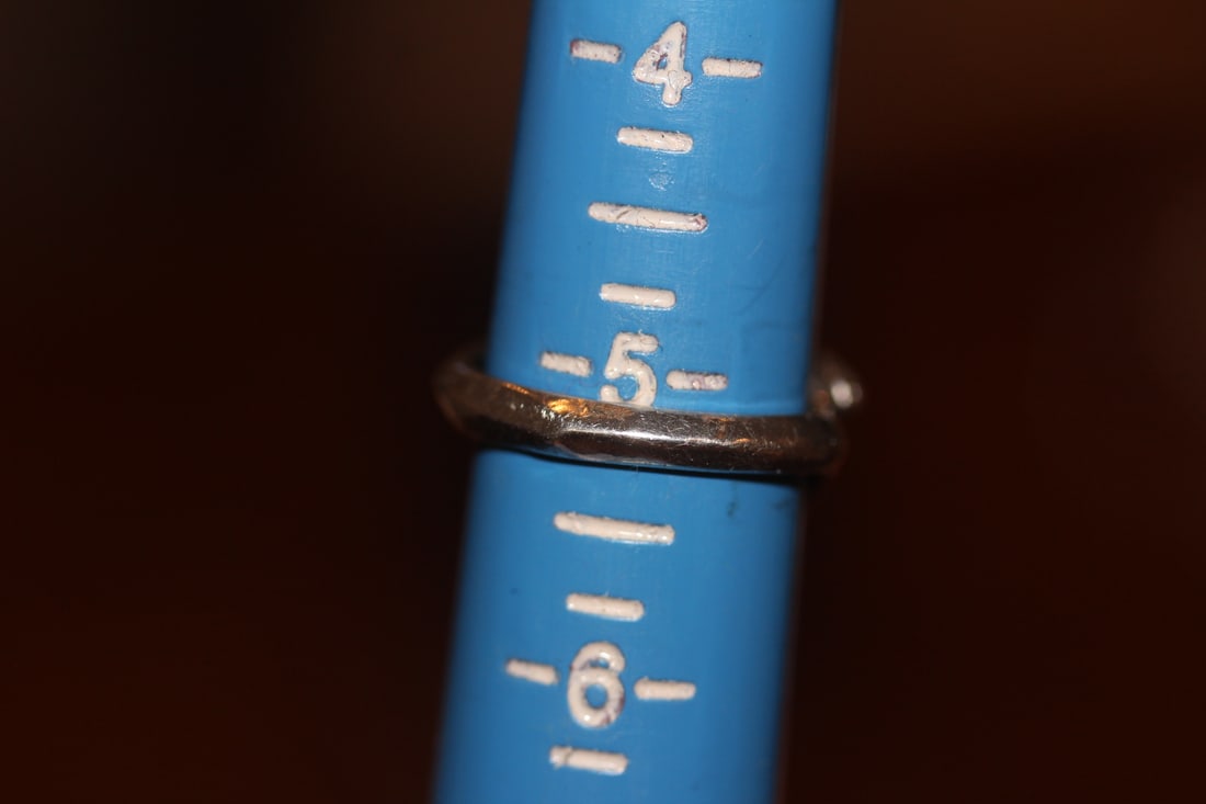 Dolphin Sterling Ring - 3