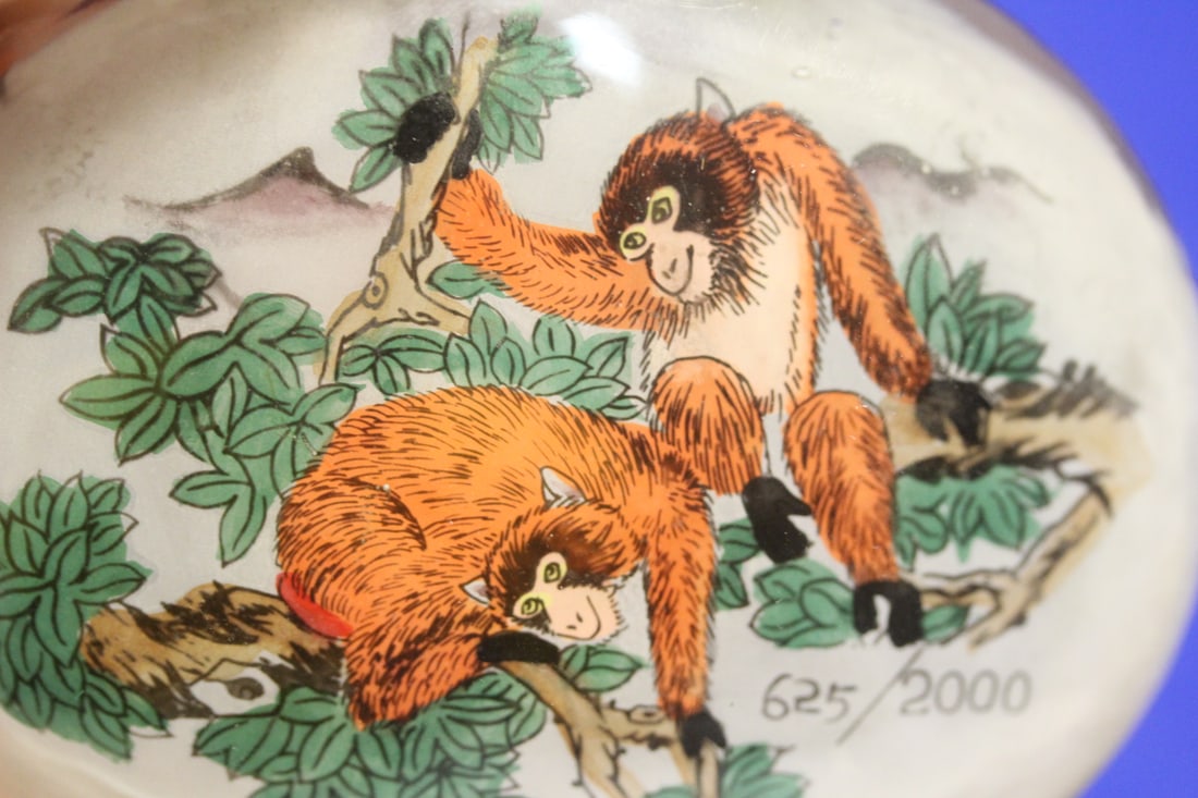 Chinese Snuff Bottle - 5