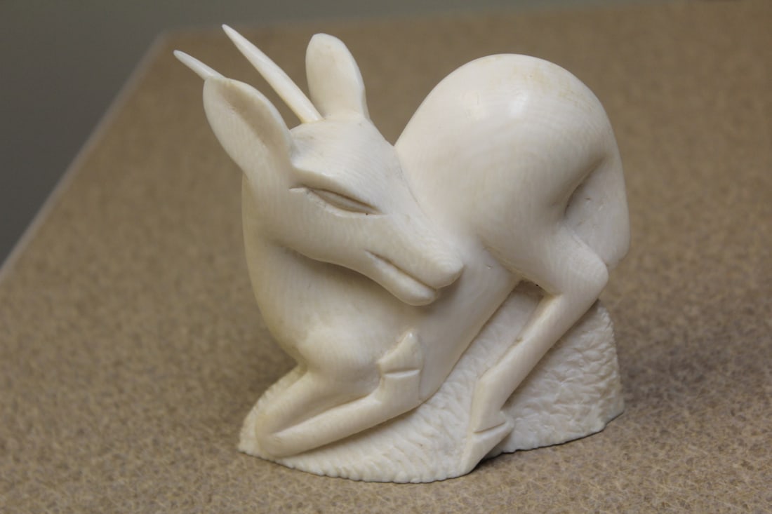 Carved Bone? Elk/Deer: most likely African - 4" across