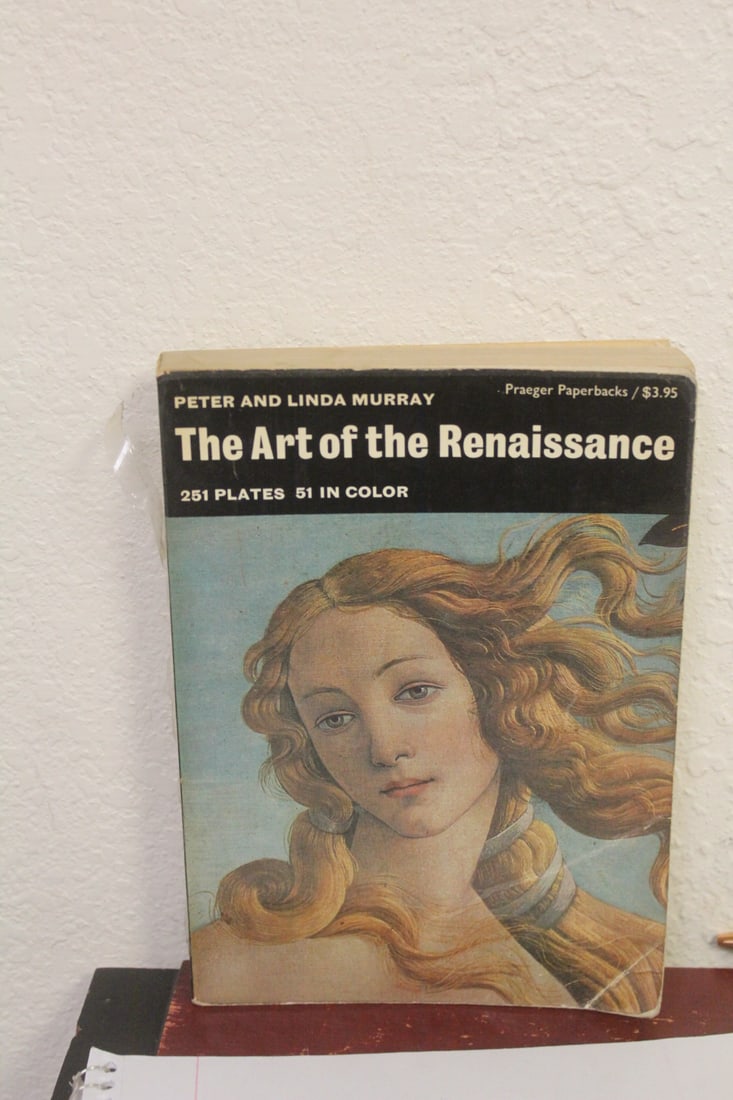 The rt of the Renaissance: soft cover book