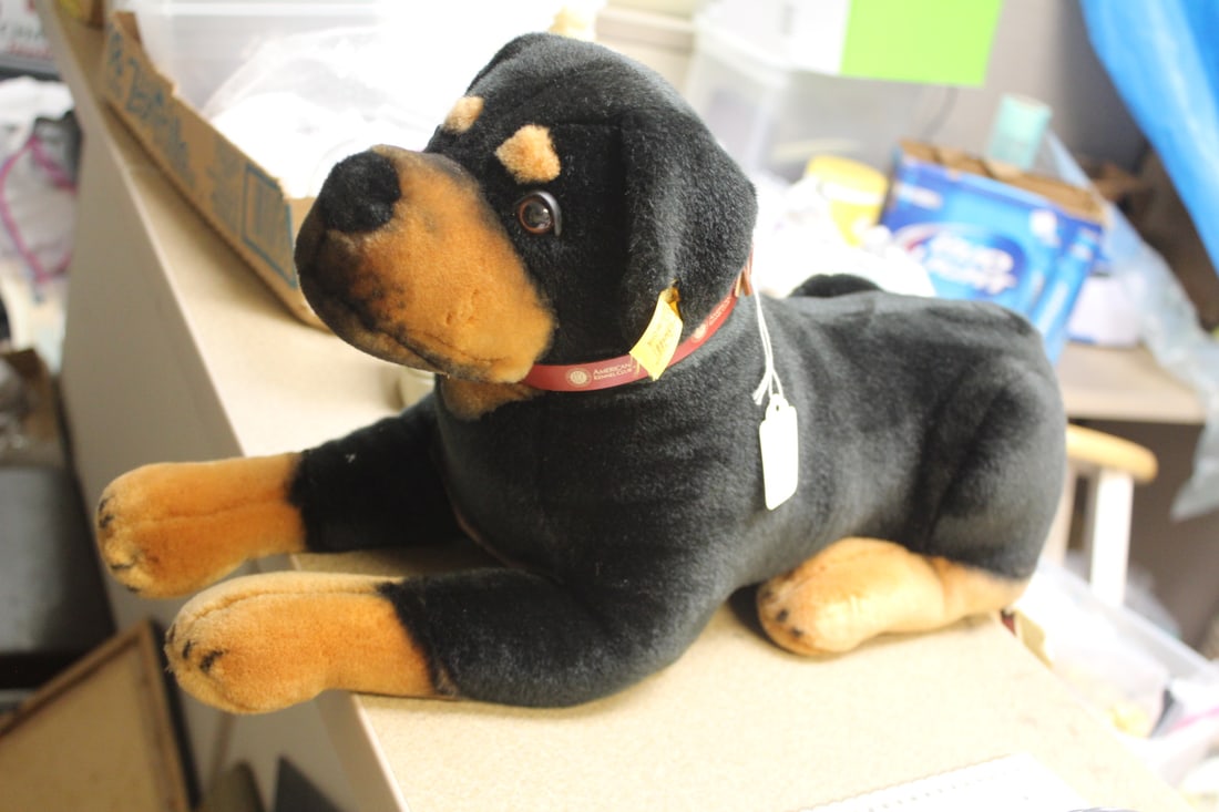 Large Steiff Dog: 17 inches long