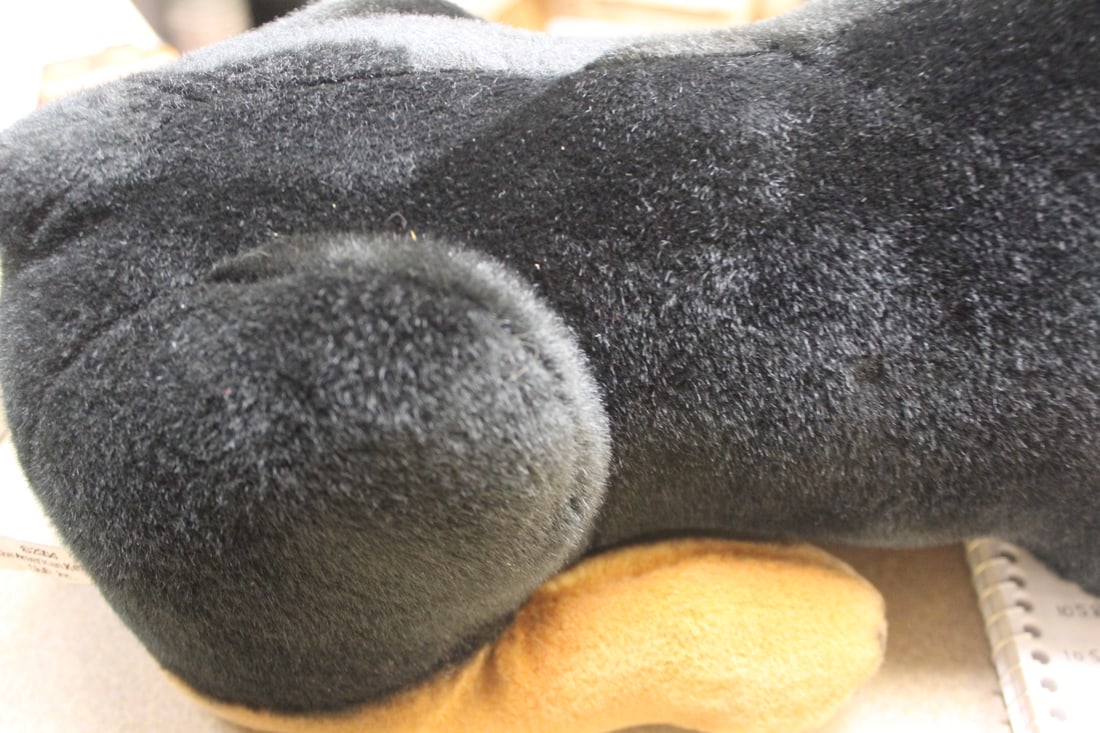 Large Steiff Dog - 4