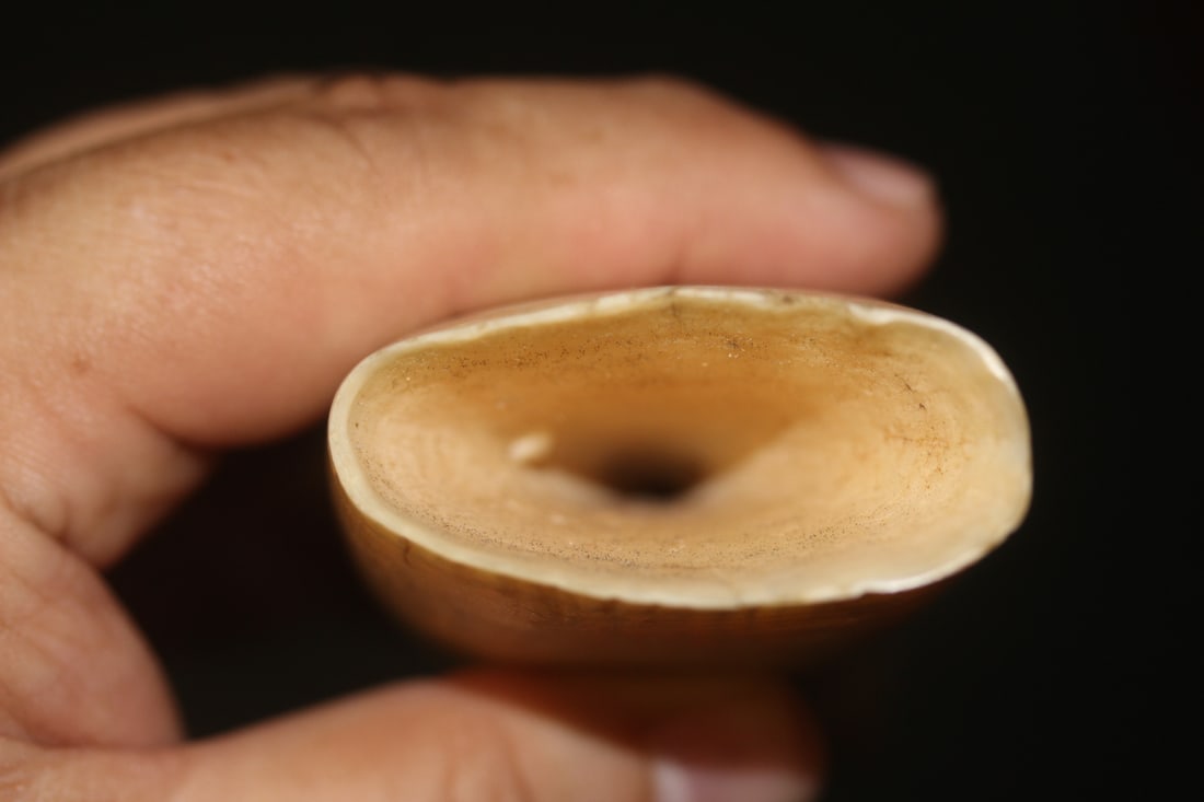 Antique Whale Article - 5