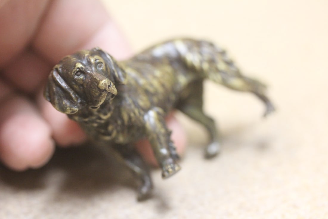 Small Solid Bronze Labrador Dog - 5