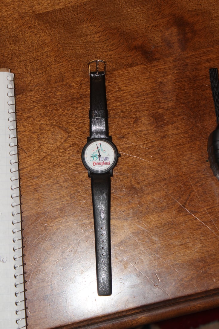 35 Years Disney Watch (1 of 4)