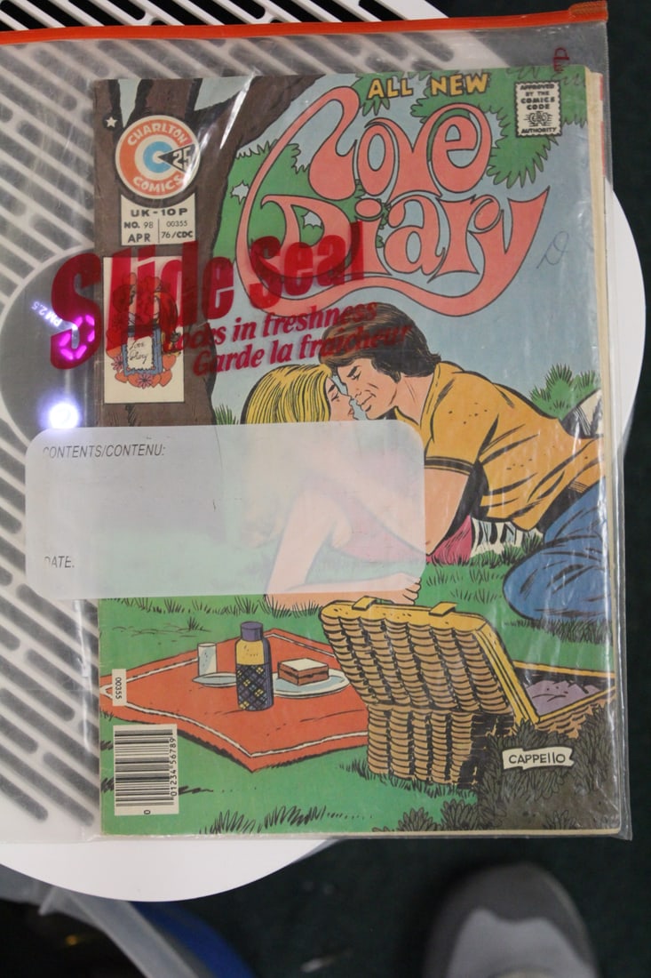 Love Diary Comics - 2