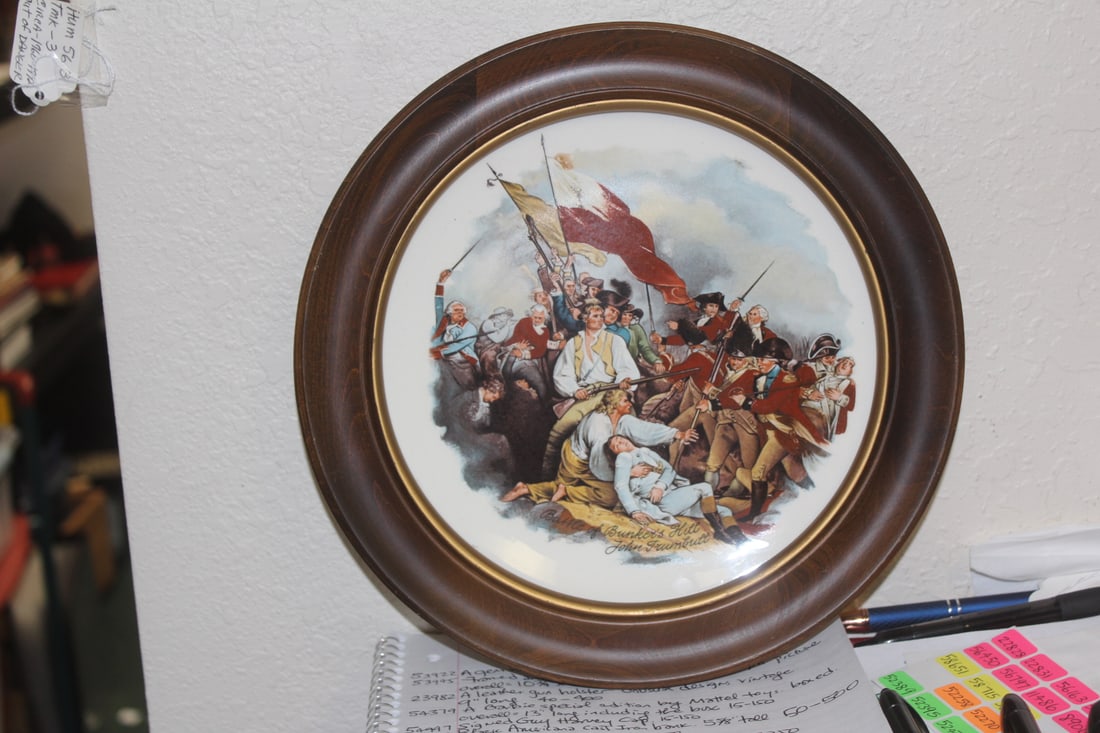 Framed Collector's Plate: overall= 11" in diameter