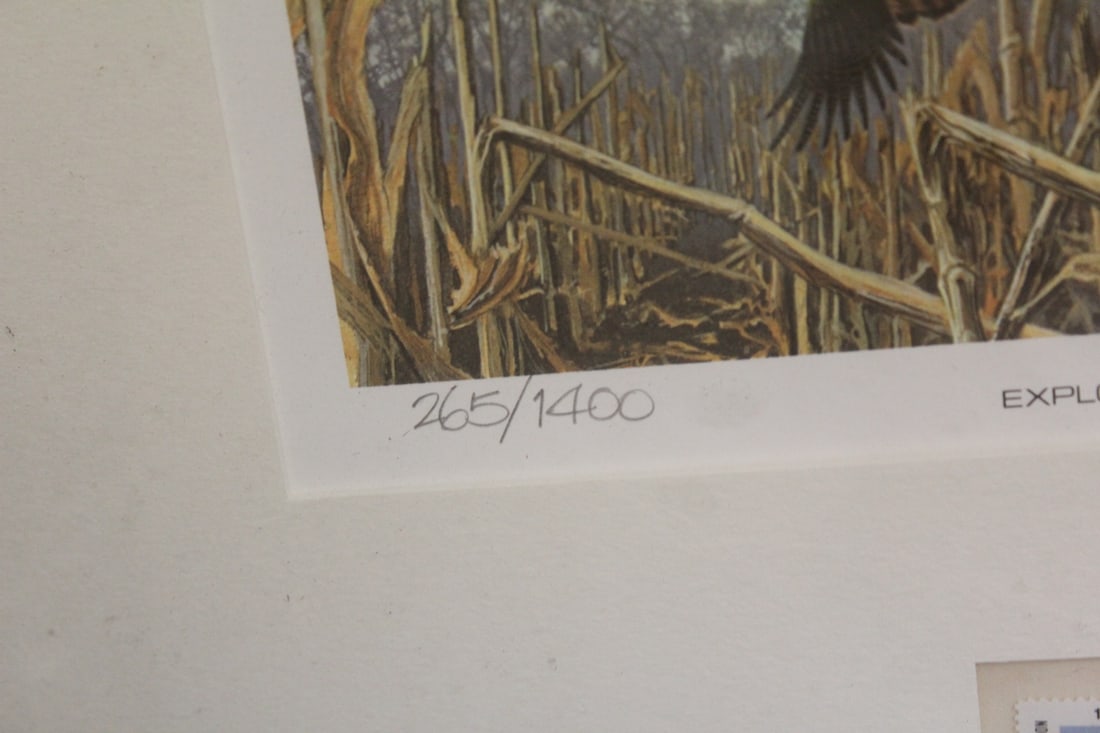 Explosion in Corn Print - 3