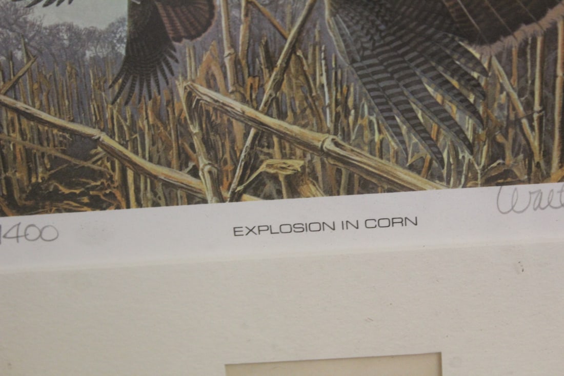 Explosion in Corn Print - 4