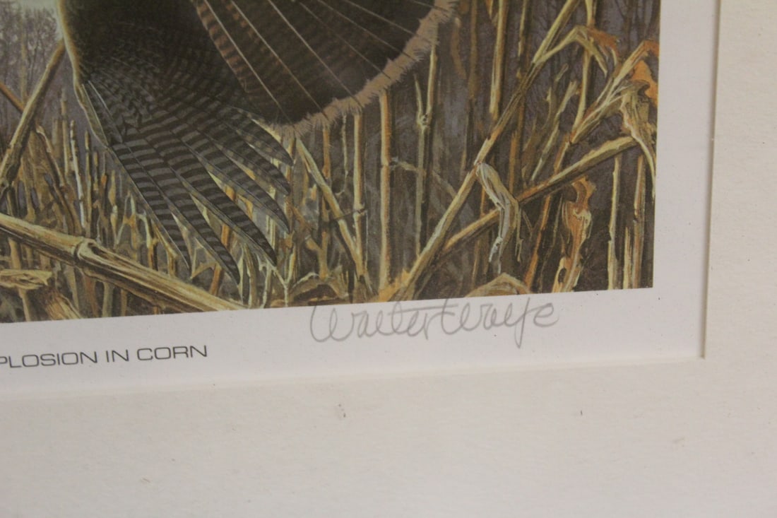 Explosion in Corn Print - 5