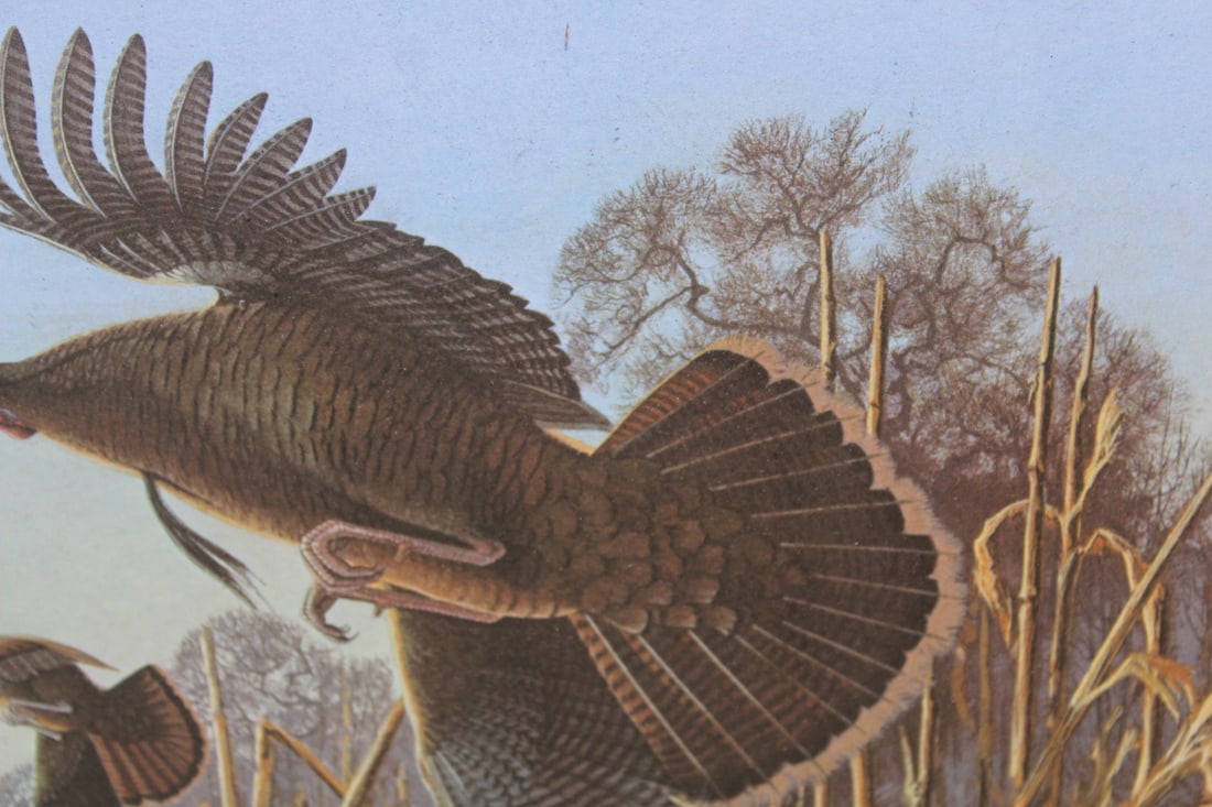 Explosion in Corn Print - 6