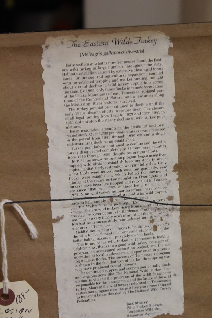 Explosion in Corn Print - 8