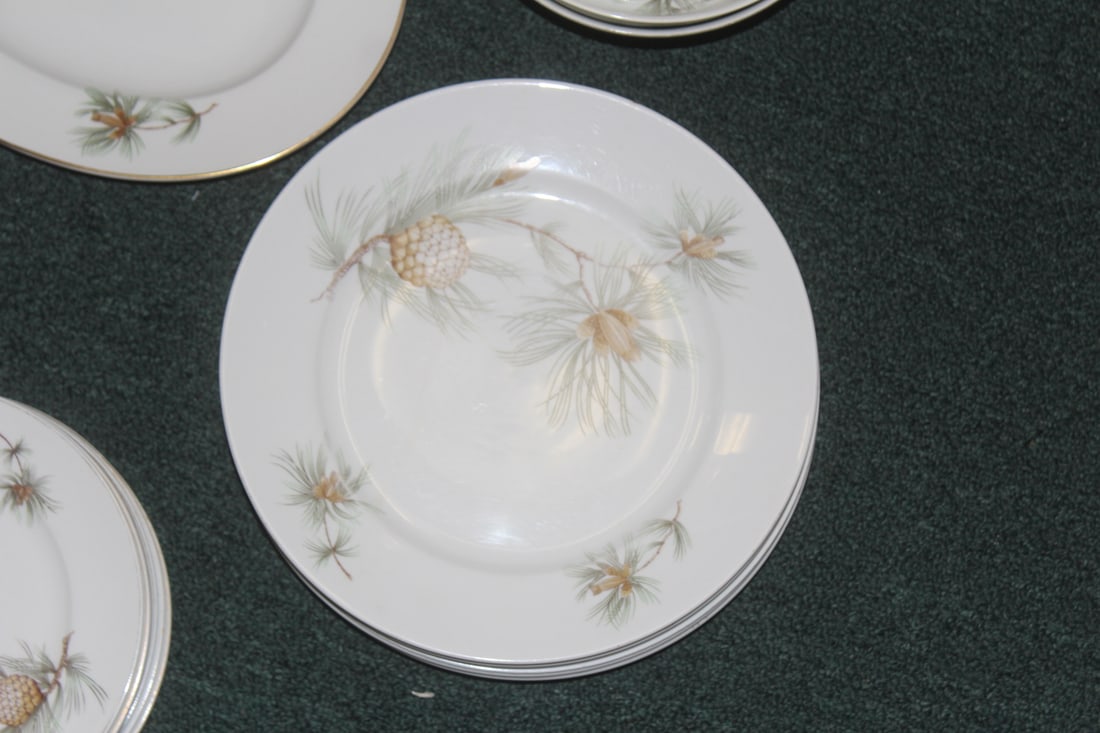 Partial Rosenthal Dinner Set - 2