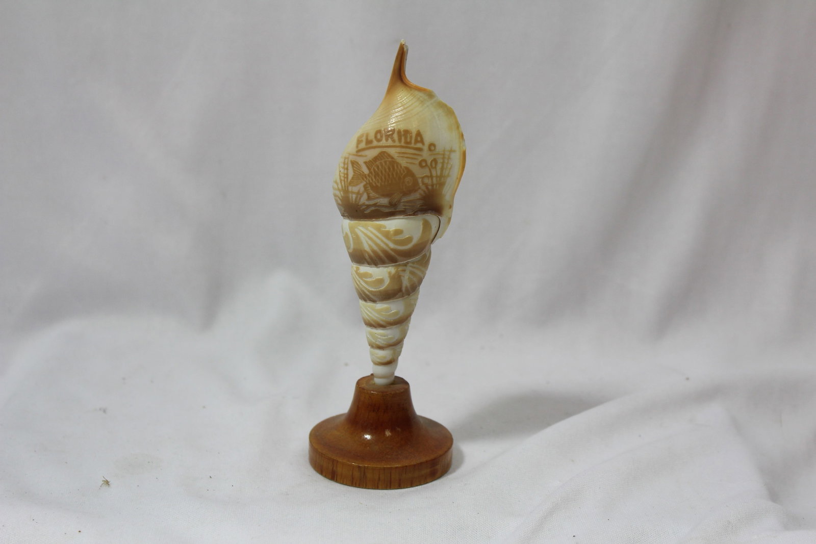 A Shell Art: 6 inches tall