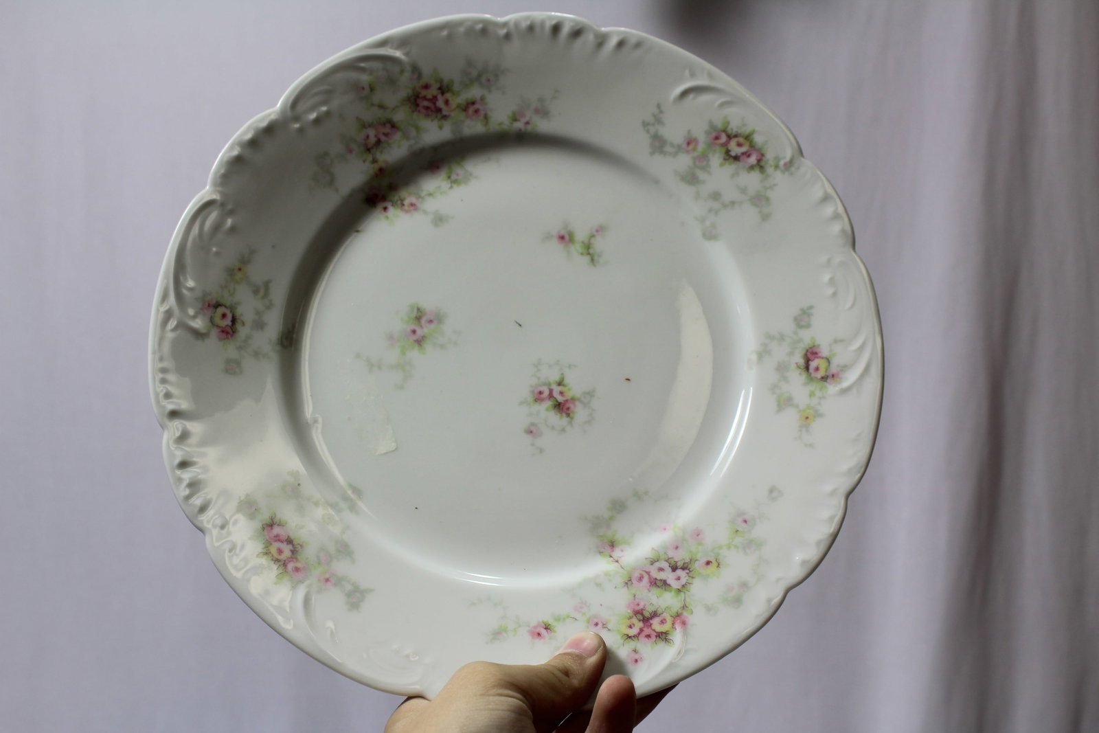 A Limoges Plate: 10" in diameter