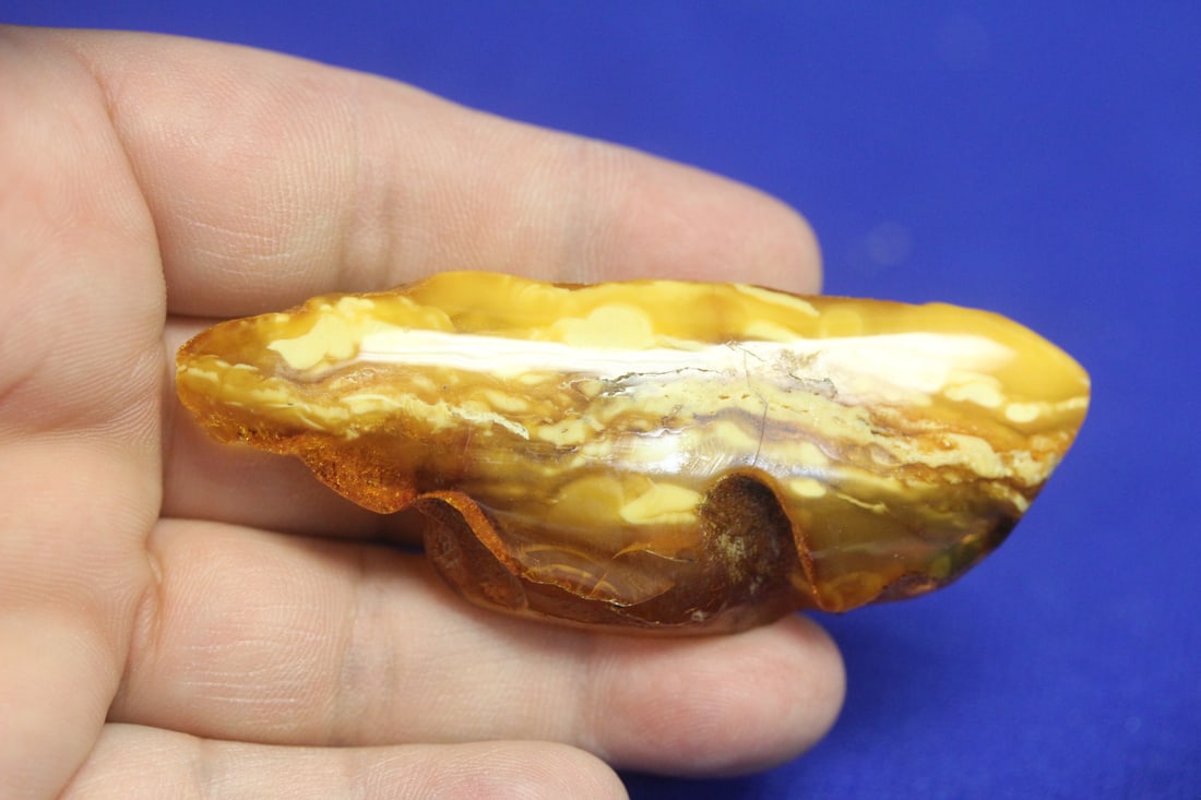 Amber Root Pin: 3 1/8" long