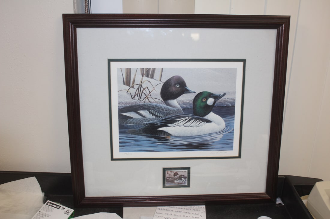 Framed Duck and Stamp Print by Ken Bucklew: framed and signed - overall= 19 1/8" x 17 5/8" - signed on print and stamp as shown