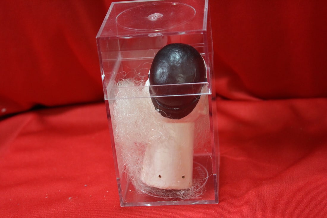 A Plastic Head - 2