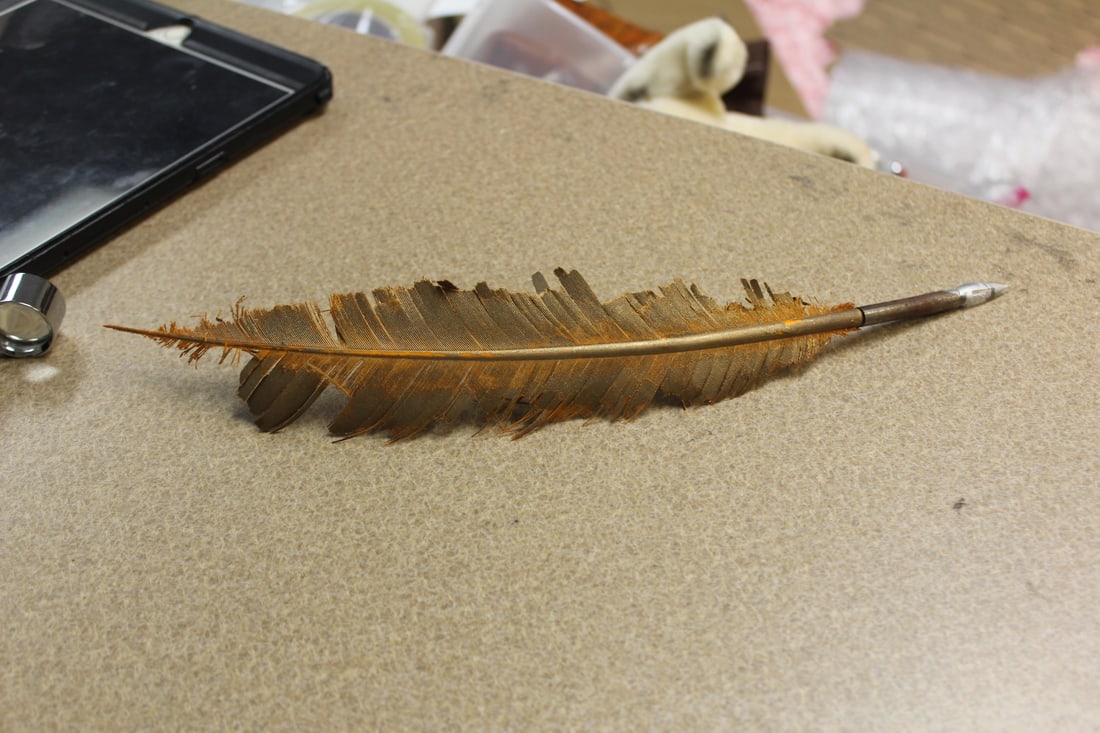 Antique Feather Pen with Nib (1 of 4)