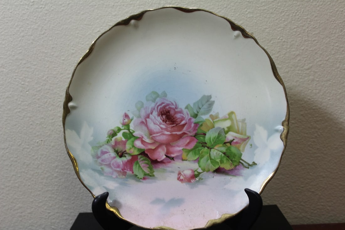 A Handpainted Rose Plate: most likely German - 9 1/2" in diameter