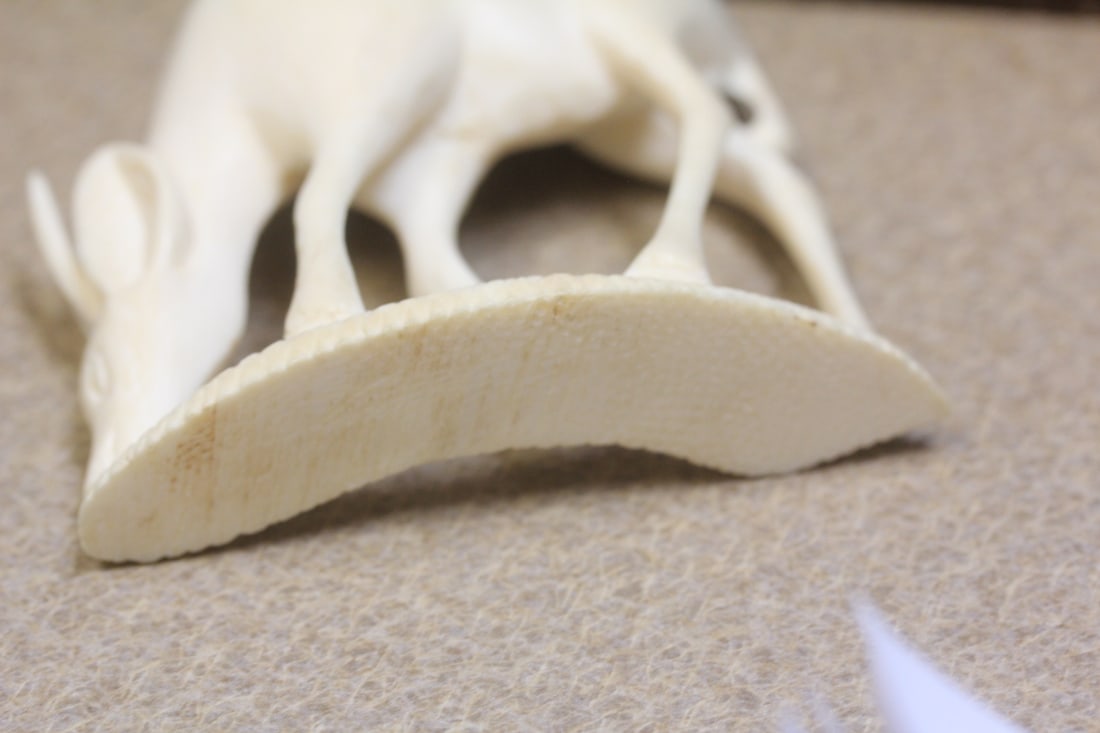 Carved Bone Elk - 4